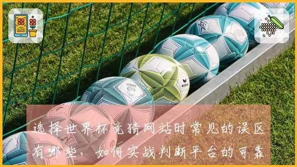 选择世界杯竞猜网站时常见的误区有哪些,如何实战判断平台的可靠性